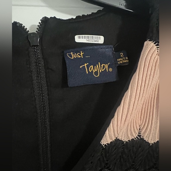 JUST TAYLOR Elegant Black and Pink Striped Dress SIZE 2 - Picture 2 of 5